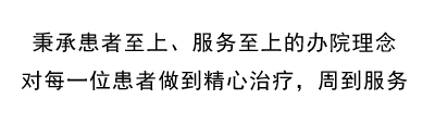 真善美